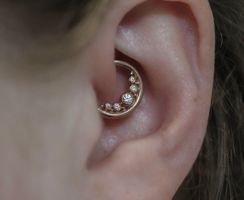 Junipurr piercing Baloo - or 14k