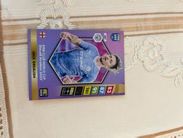 FIFA 365 Grealish
