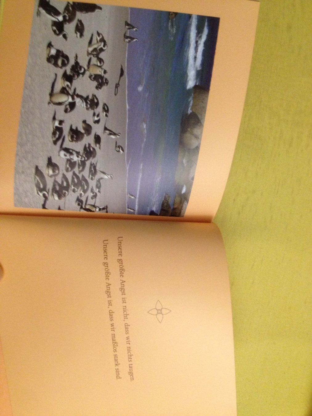 Libri: Buch "Gehe deinen Weg in Freiheit" – Nuovo (secondo la descrizione) da Siegershausen venduto da Bubsi83 5