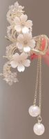 Haarklammer, Haarspange, Haarschmuck, Edel, Elegant
