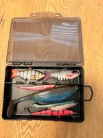 Köderbox mit Hechtköder