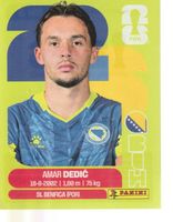 FIFA WORLD CUP 2026 Panini Sticker BIH 3 AMAR DEDIC