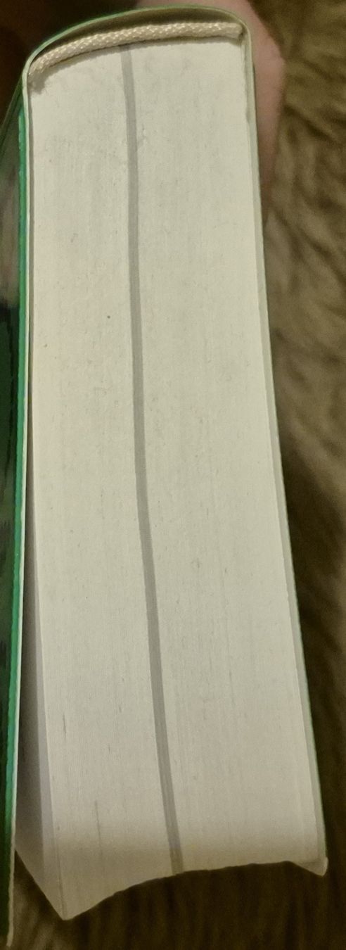 Libri: Spanisch Wörterbuch PONS /Englisch Grammatik – Usato da Adliswil venduto da cha_fq9f 2