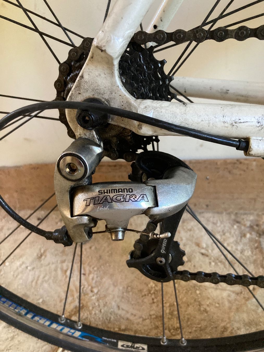 Biciclette: Gitane Rennrad – Usato da zürich venduto da Zenshiatsu 3