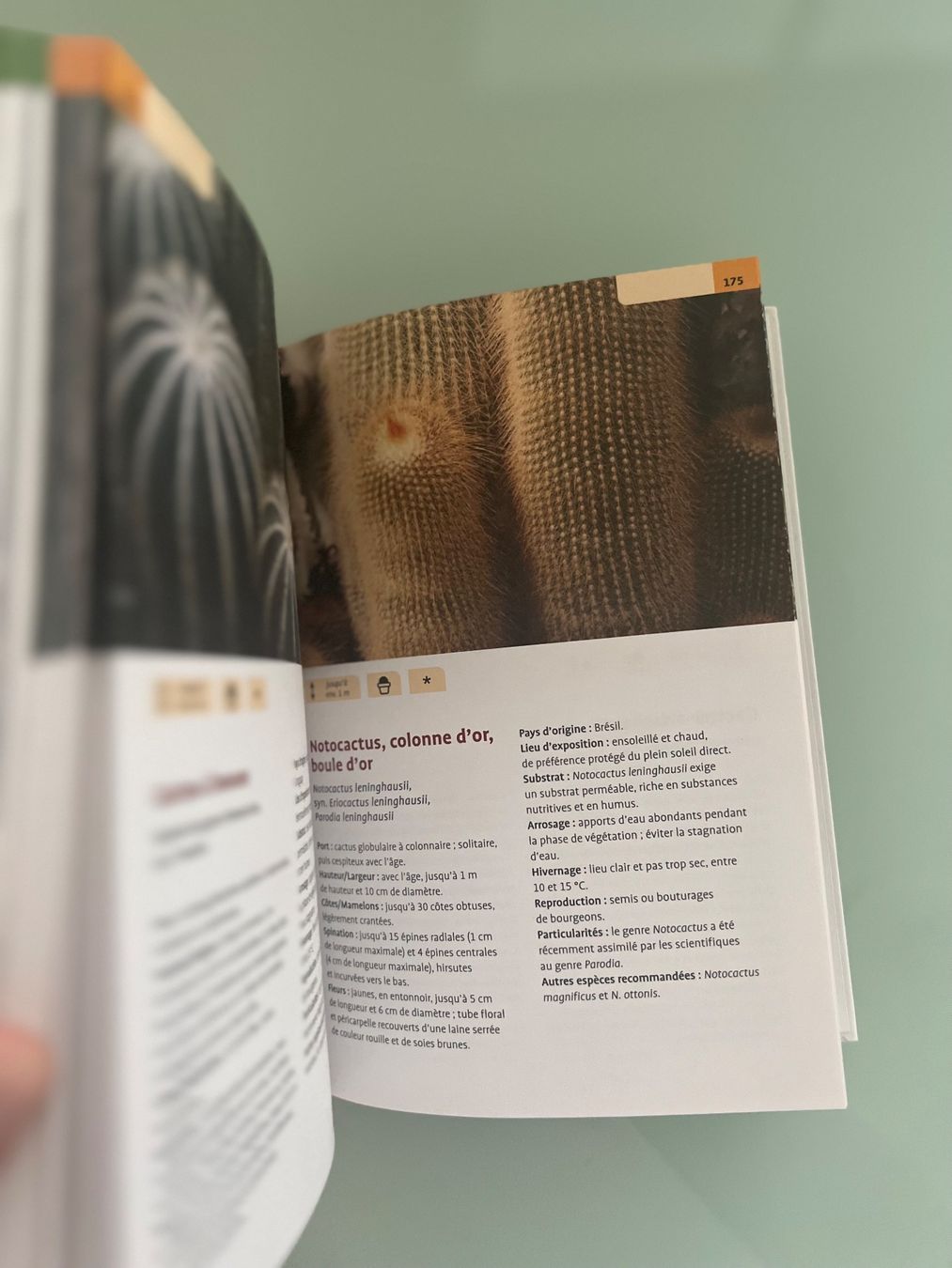 Libri: Guide Delachaux Cactus – Usato da Renens VD venduto da ale_q6bz 2