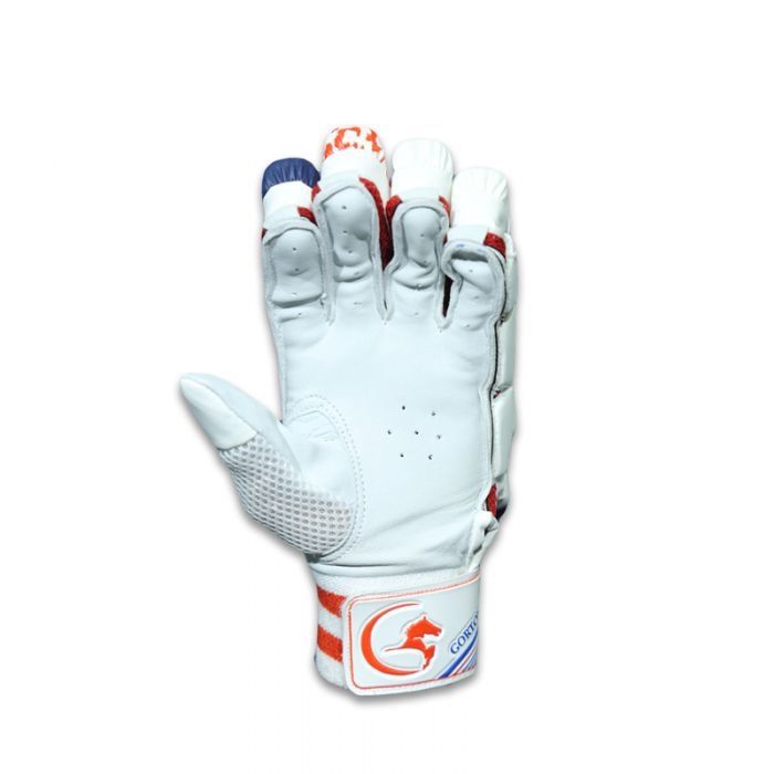 Giochi: Gortonshire Shield Cricket Batting Gloves – Nuovo e nell'imballaggio originale da Luzern venduto da ronymamuni 2