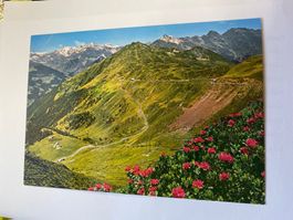 Carte postale vintage : Passo Giovo - Alpes