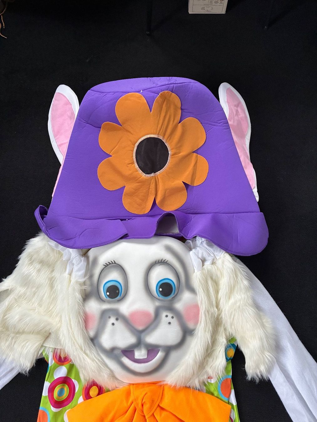 Costumes: Fasnachtskostüm Hase – Neuf (Voir description) à Bassersdorf par Imbusicht 1