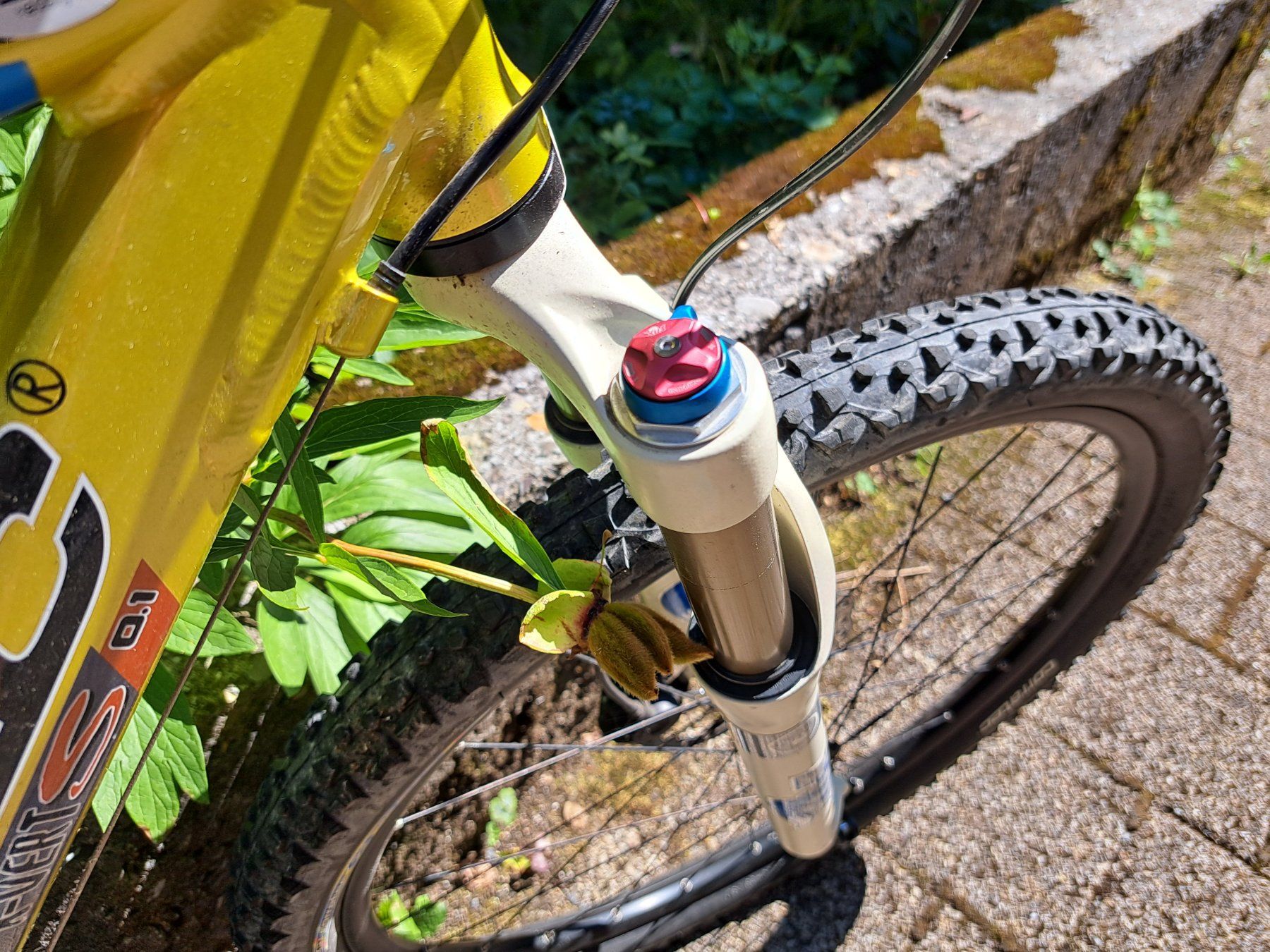 Corratec Biciclette: MTB Klassiker - Corratec X-VERTs – Usato da Ennenda venduto da GEISTERJODLER 2