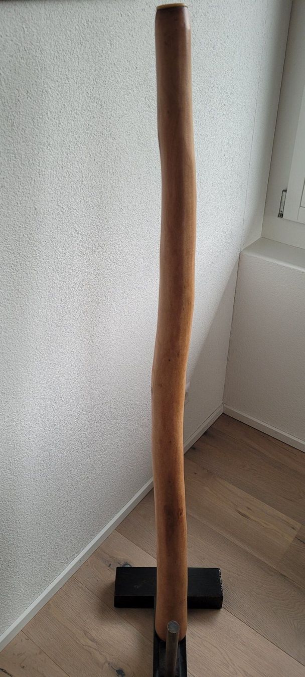 Strumenti musicali: Didgeridoo Eukalyptus Naturfarbe – Usato da Birmensdorf ZH venduto da shishu 2