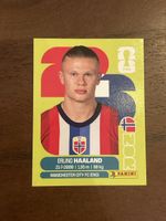 Panini Erling Haaland
