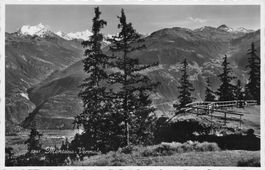 Montana Vermale