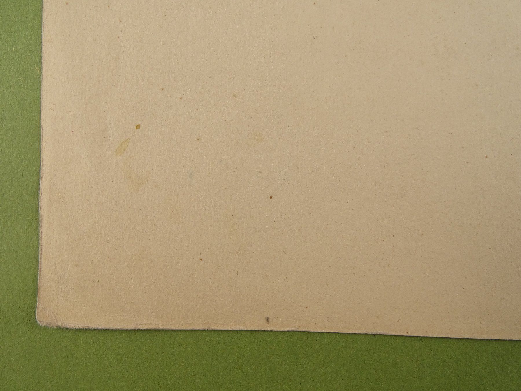 Incisioni: MEIRINGEN ZIEGENHIRTE, LITHOGRAPHIE – Usato da Grüningen venduto da Kartensammler 8