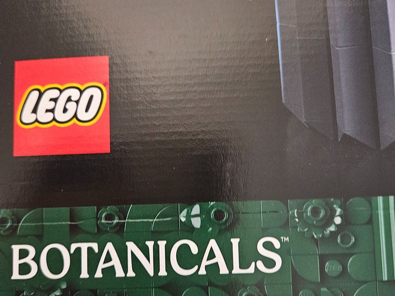 Lego Baukästen: Modellset – Orchidee – ungeöffnet – Neu und originalverpackt aus Chur von gutgutgut 3