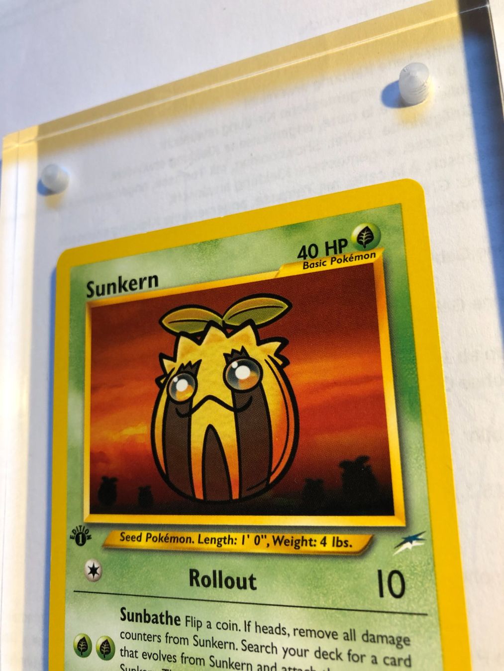 Carte collezionabili: Sunkern 1st Neo Destiny - MINT - ab 1.- – Usato da Giubiasco venduto da dan_pr8b 3