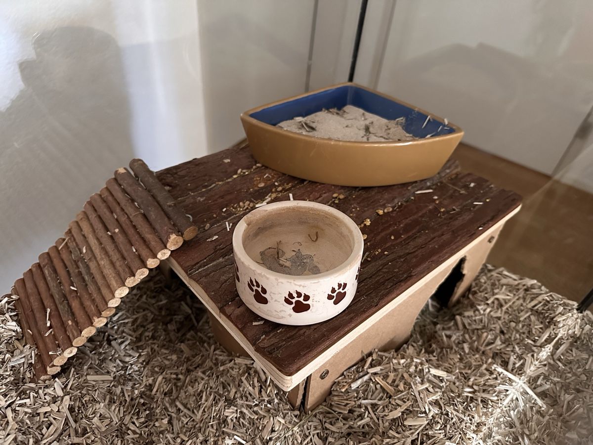 Terrario: Hamsterkäfig & Zubehör – Usato da Niederwil AG venduto da jon_y59x 1