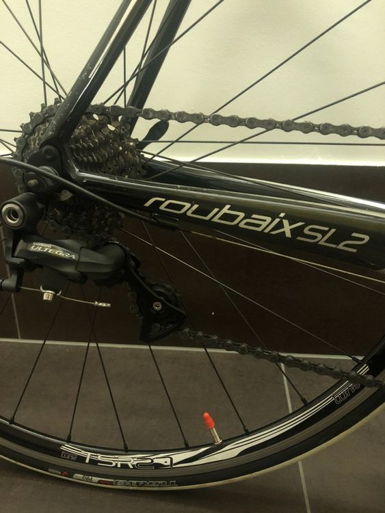 Specialized roubaix saxo bank edition hot sale