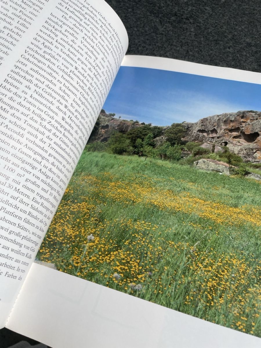 Libri: Kunst der Sarden – Usato da Freidorf TG venduto da ibipatria 2