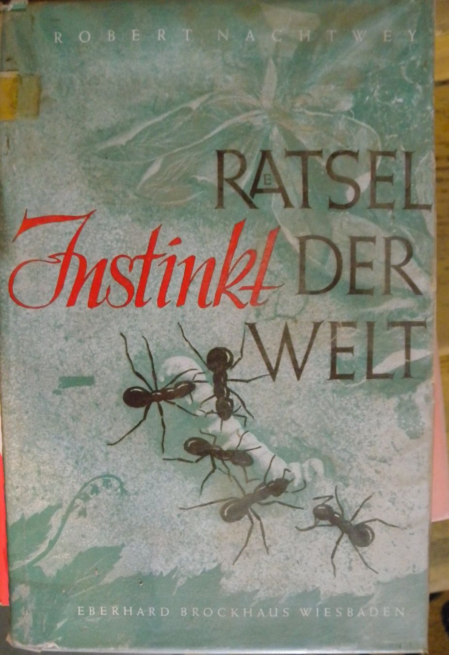 Libri: Rätsel Instinkt der Welt, 1950 – Usato da Hauenstein venduto da Danbach