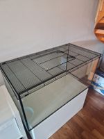 Terrarium mit Gitterabdeckung 100x50x50