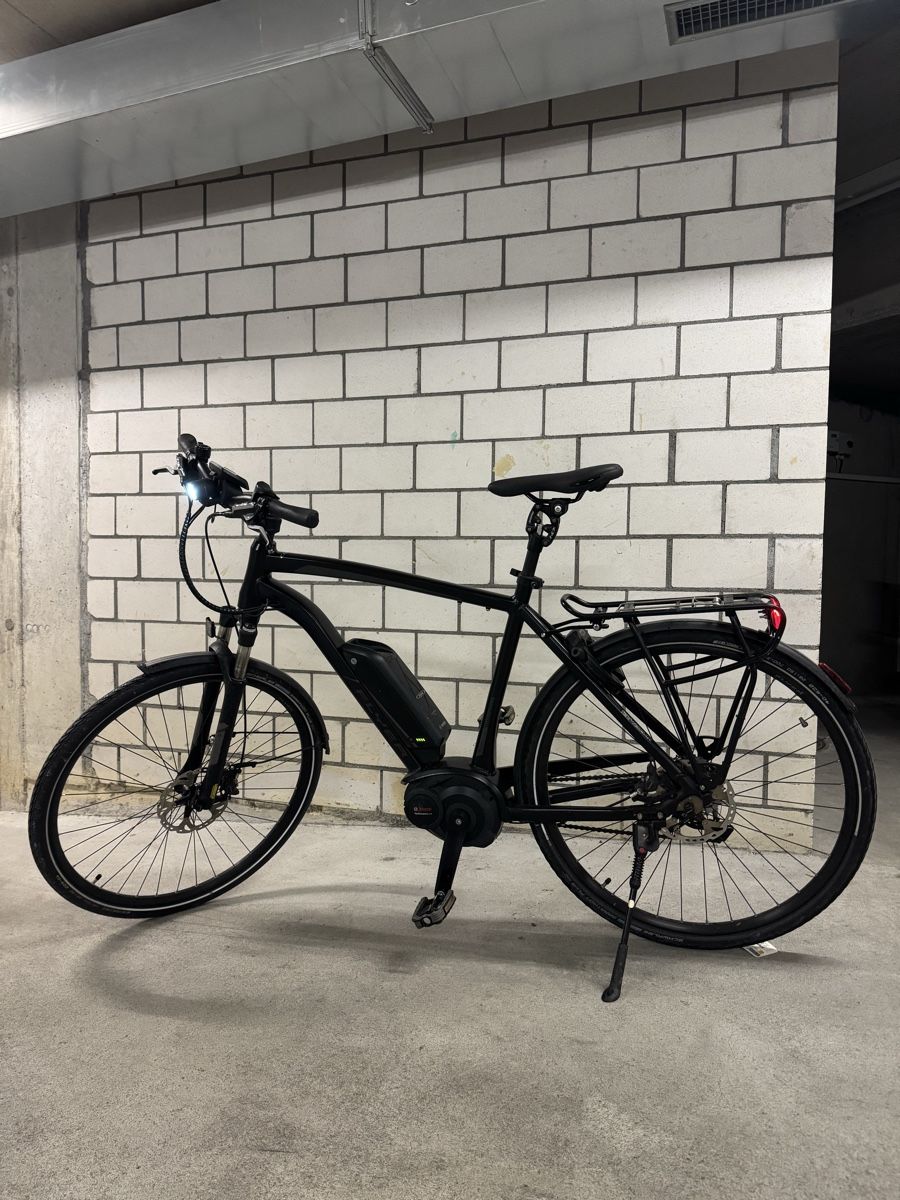 Flyer Vélos: Flyer TS-Serie E-Bike PREIS VB – D'occasion à Amriswil par Fixm8