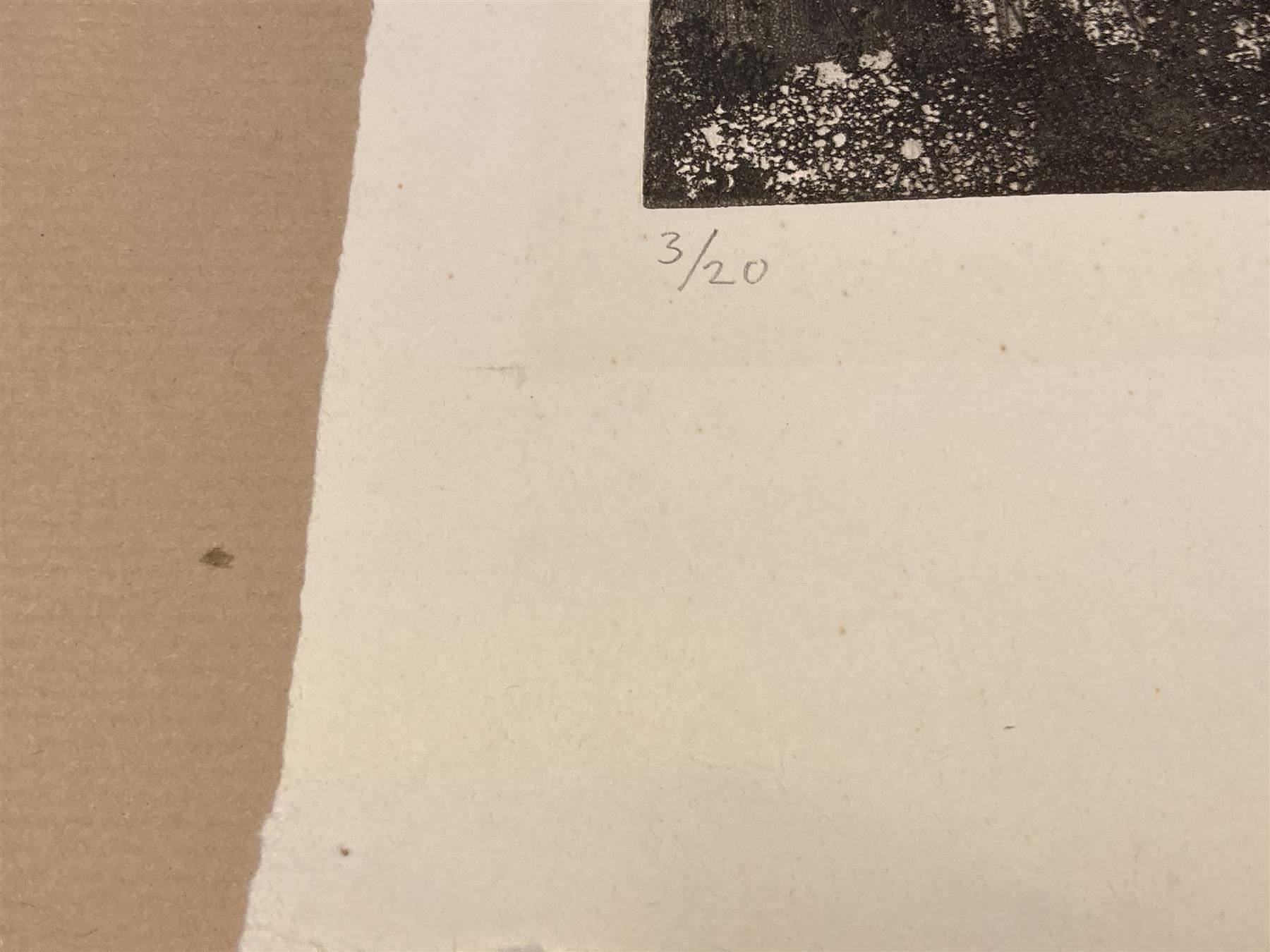 Arts picturaux & lithographies: WEBER A. Litho sign/nr – D'occasion à Bern par Jwpm66 2