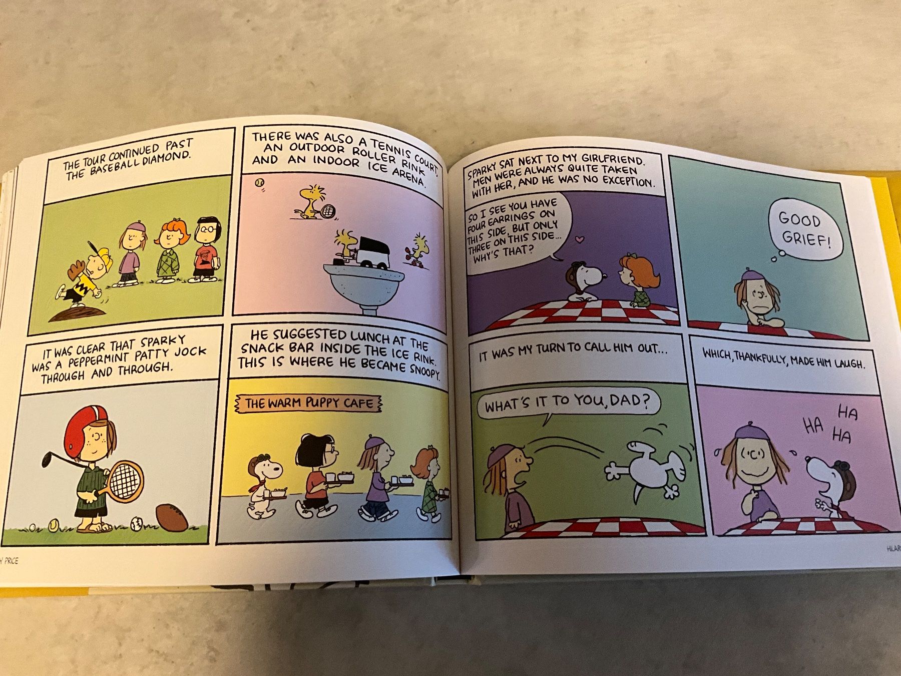 Fumetti: Peanuts a Tribute To Charles M – Usato da Agriswil venduto da Ueli03 5