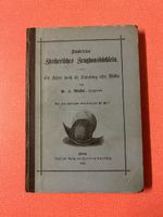 Antikes Zürcher Zeughausbüchlein von 1881 - Rarität!
