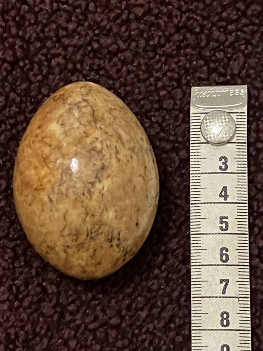 Mineralien & Heilsteine: Steinei – Gebraucht aus Basel von nla_zp8b
