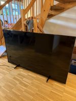 Philips 55" Flachbildschirm