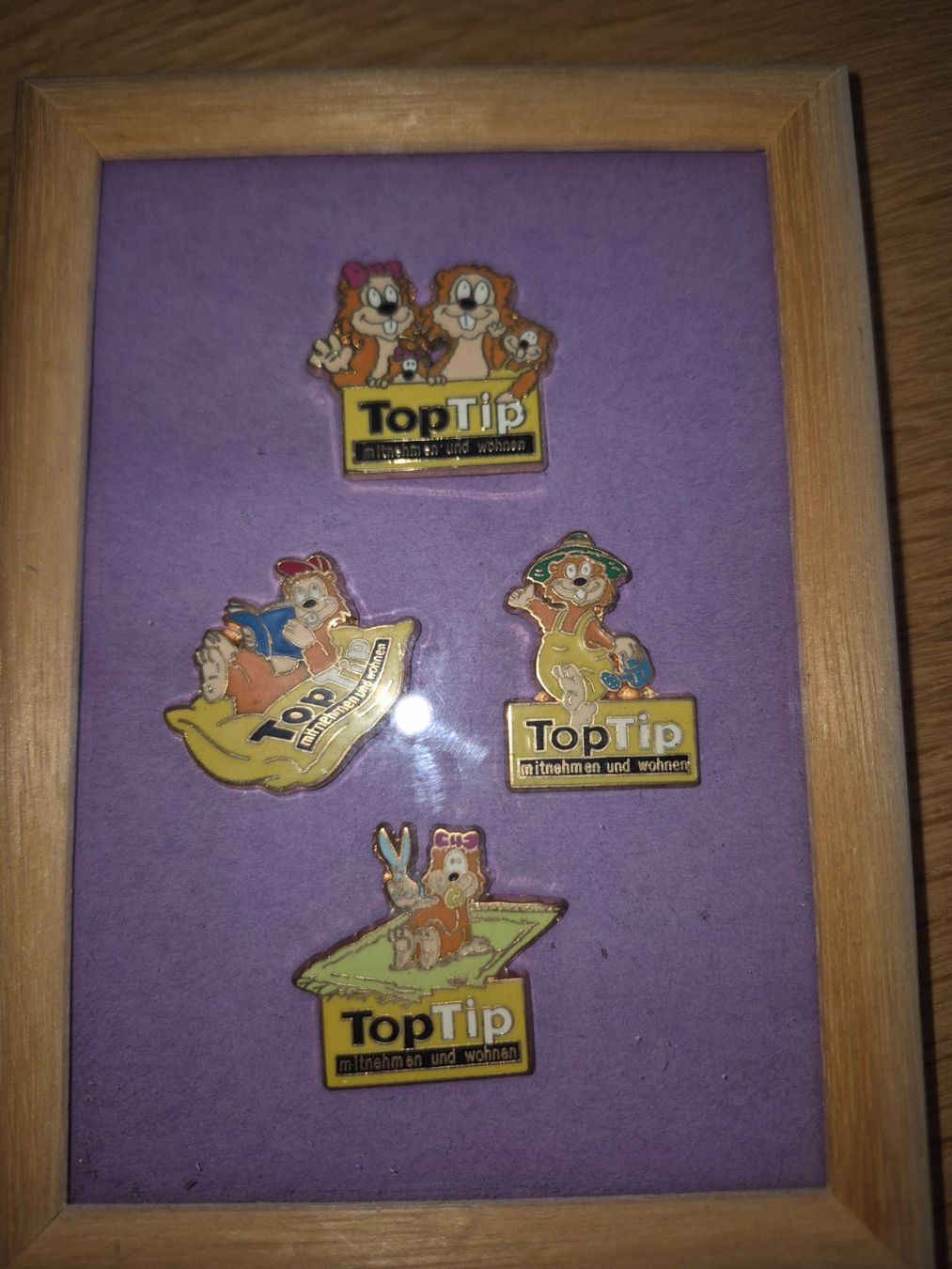 Placchette & Badge: Pin Set Top Tip – Usato da Buttikon SZ venduto da sefa02