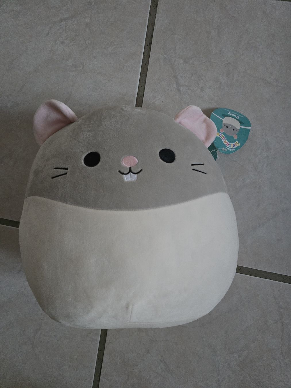 Squishmallows Giocattoli: Squishmallow Rusty Maus Ratte – Nuovo (secondo la descrizione) da Büsserach venduto da sobis.trade