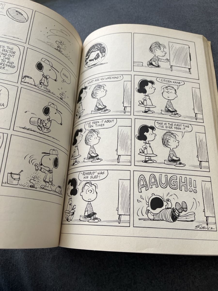BD: Peanuts Comic Buch "How Long, Great Pumpkin, How Long" – D'occasion à Niederhasli par Suneblueme 6