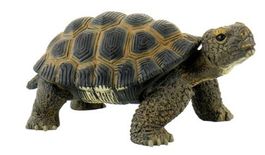 Landschildkröte von Bullyland   (neu/OVP)