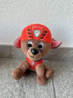 Zuma Paw Patrol