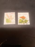Lot de 2 Timbres du Brésil - Botanique - Collection 🇧🇷🌸