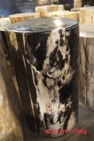 Fossil Beistelltisch Hocker Tisch Säule Versteinertes Holz