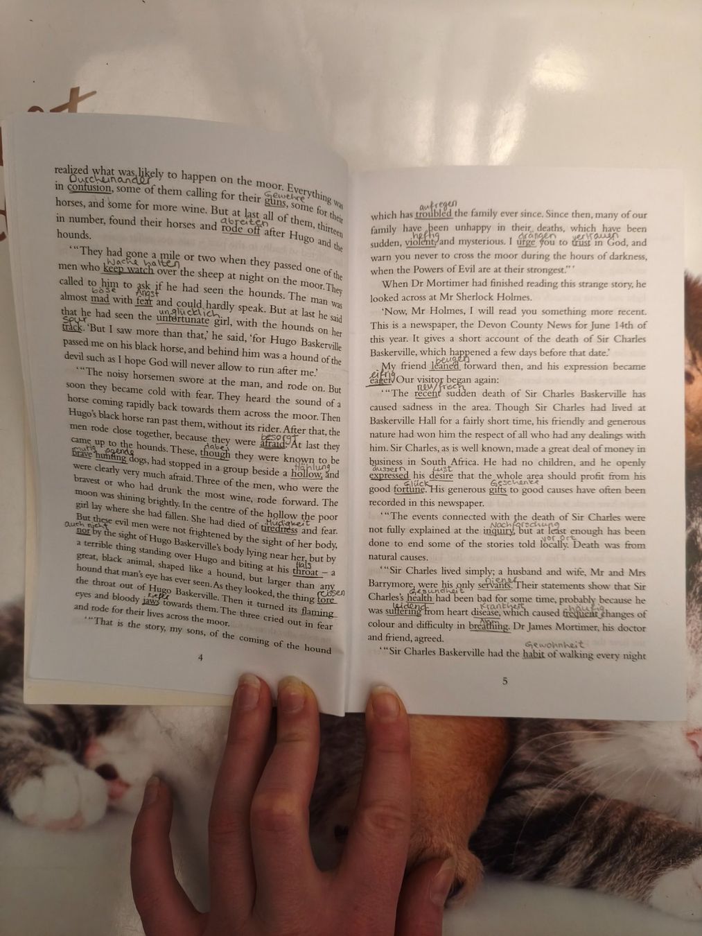 Libri: The Hound of the Baskervilles – Nuovo (secondo la descrizione) da Starrkirch-Wil venduto da wae_xd2j 1