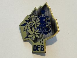 1 Pin DFB Dampflok