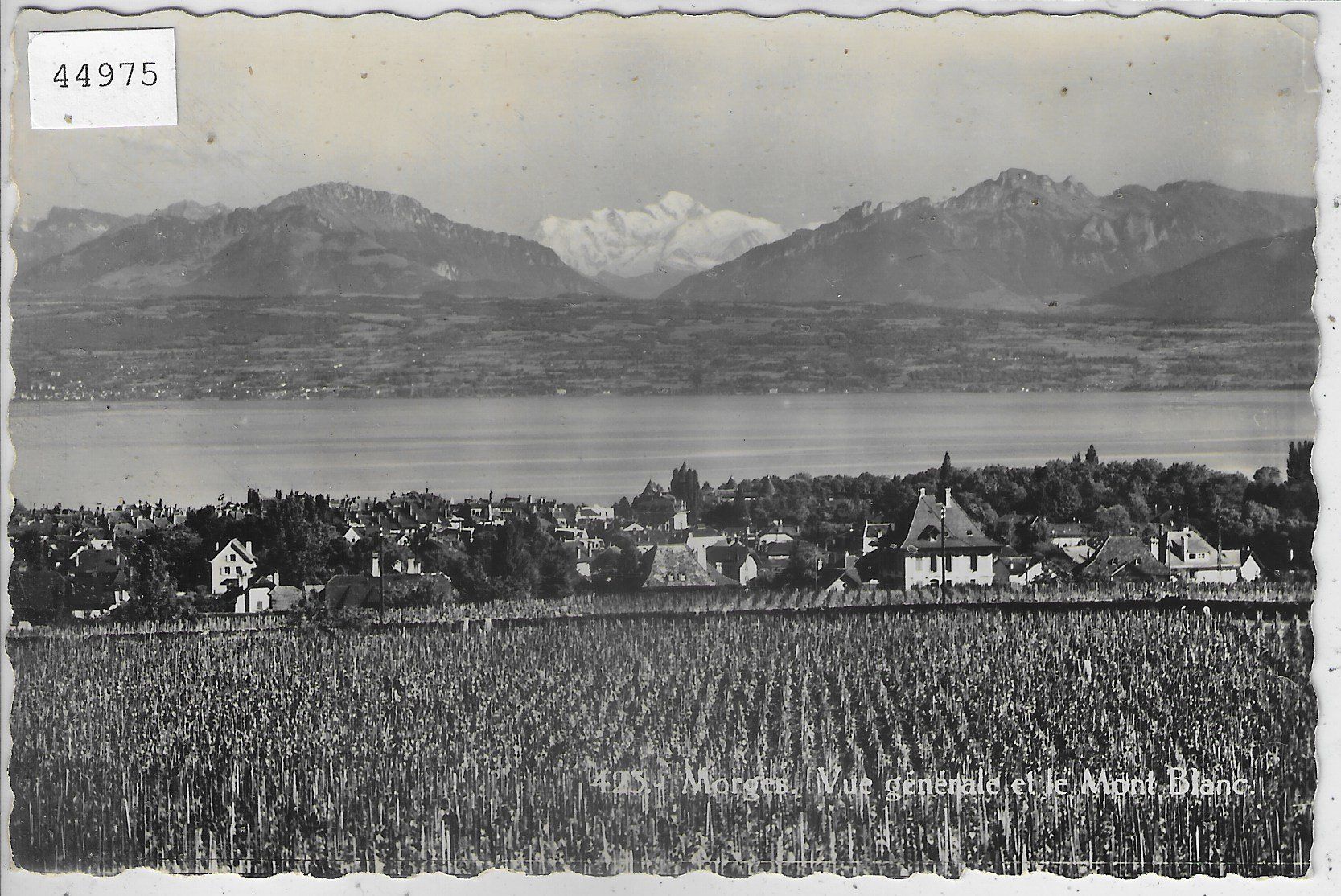 Cartoline postali: Morges - Vue generale et le Mont Blanc – Usato da Ettingen venduto da Kartenplanet