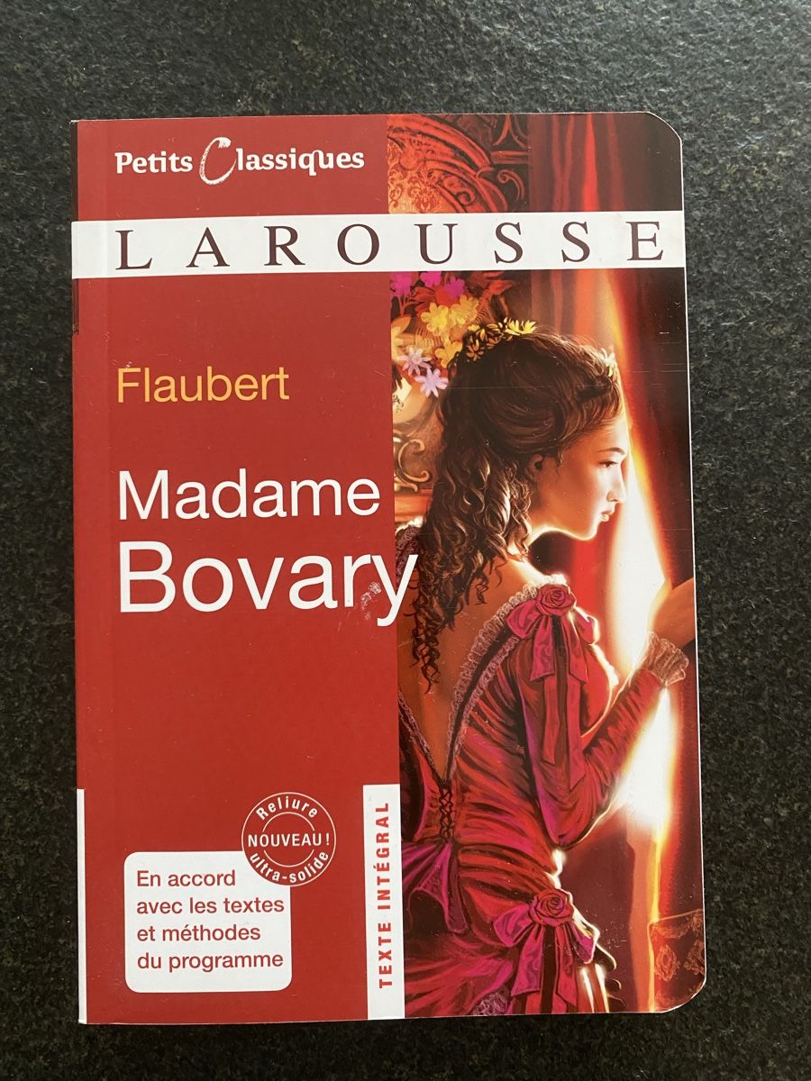 Libri: Madame Bovary – Usato da Wädenswil venduto da JJ15