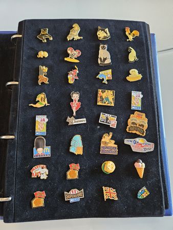 Grosse Sammlung von Pins / Anstecknadeln im Album! 116stk