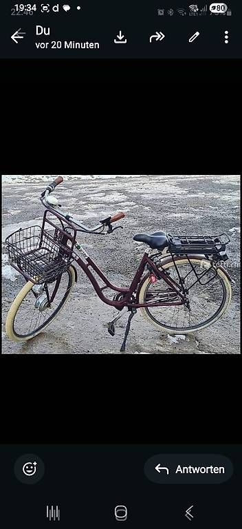 Biciclette: Elektro Velo – Usato da Ballwil venduto da Karinjuon