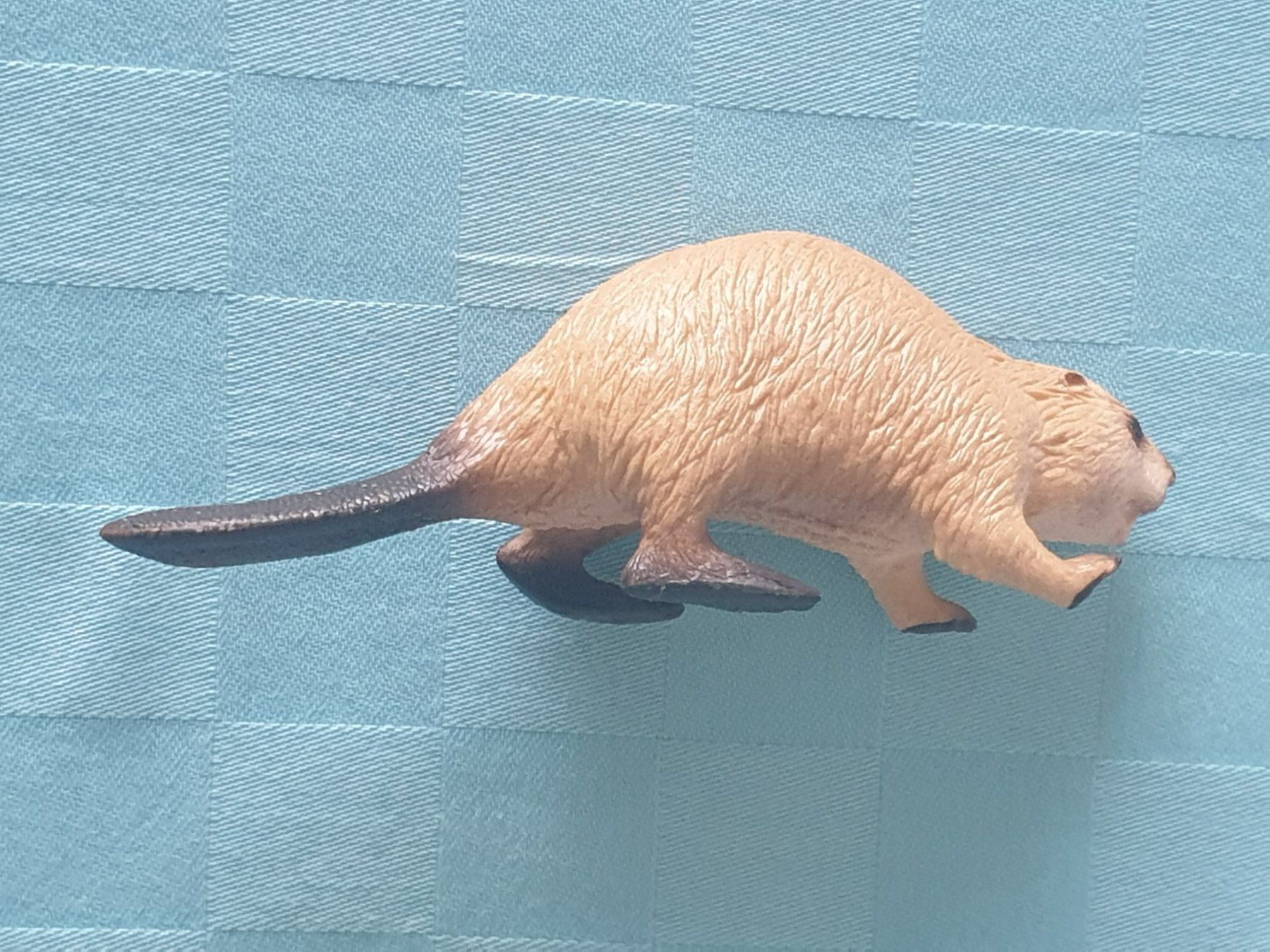 Schleich Statuette: Biber Tier Schleich – Usato da Mörschwil venduto da spirspi 1