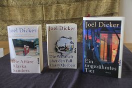 3 Romane von Joël Dicker Piper Verlag guter Zustand