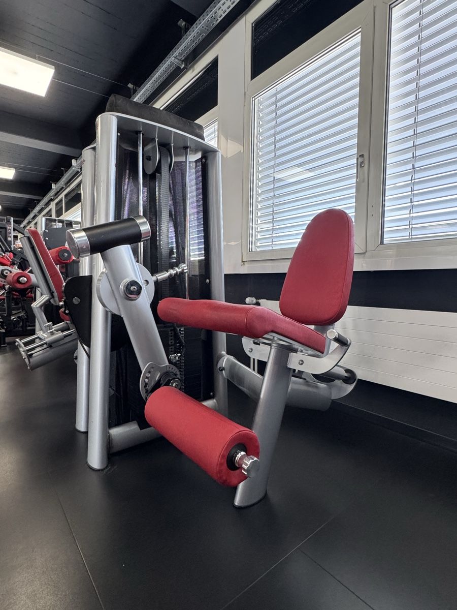 Gym80 Hometrainer: GYM80 Sygnum Line – Usato da Wil SG venduto da rog_g2jv 5