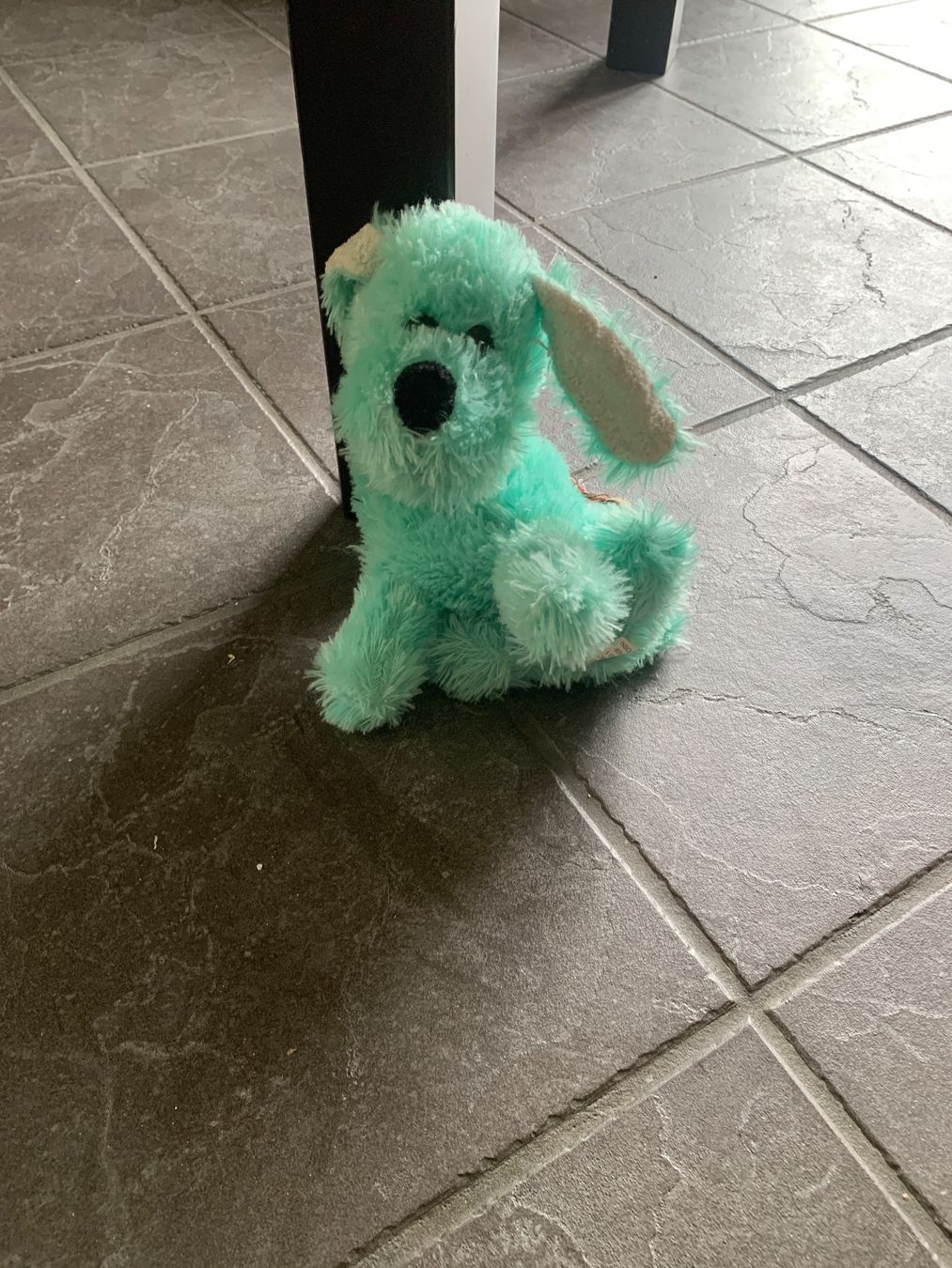 Spielzeuge: Blauer plüschhund – Neu (gemäss Beschreibung) aus Gossau ZH von Daniela710
