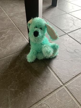 Blauer plüschhund