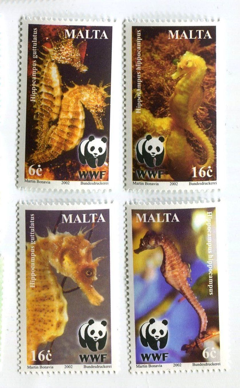 Alle Briefmarken: Briefmarken "Seepferdchen". Malta – Neu und originalverpackt aus Basel von Butsch5