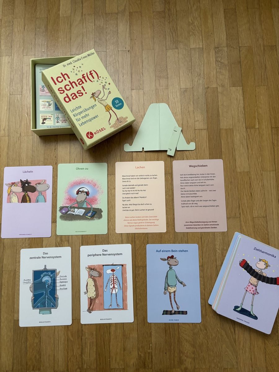 Giochi: Ich schaf(f) das! Kartenset – Usato da Niederwangen b. Bern venduto da muidop
